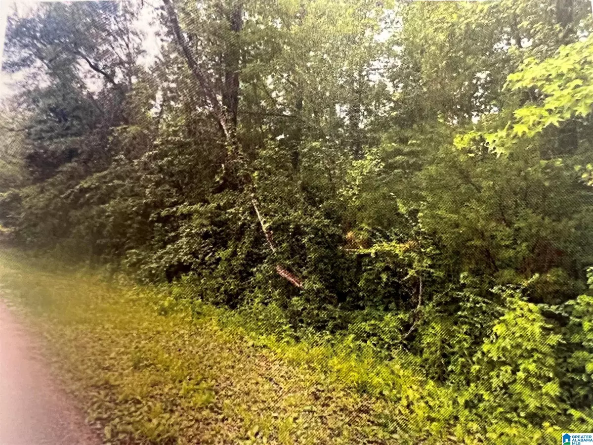 Calera, AL 35040,11 and 12 19TH STREET #11 & 12