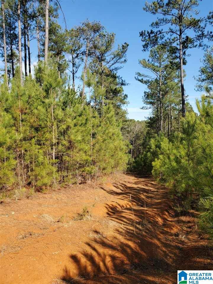 Columbiana, AL 35051,285 GOULD ROAD #4