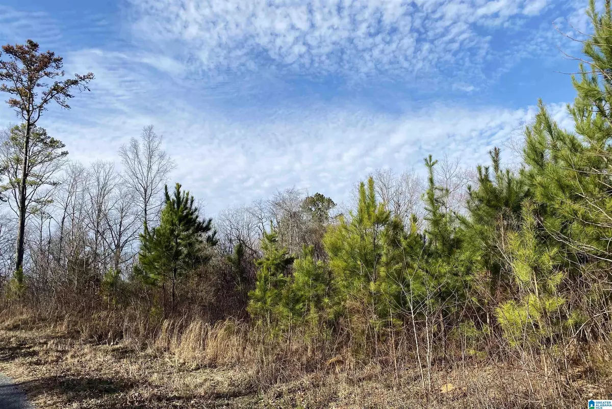 Locust Fork, AL 35097,CENTER HILL ROAD #000