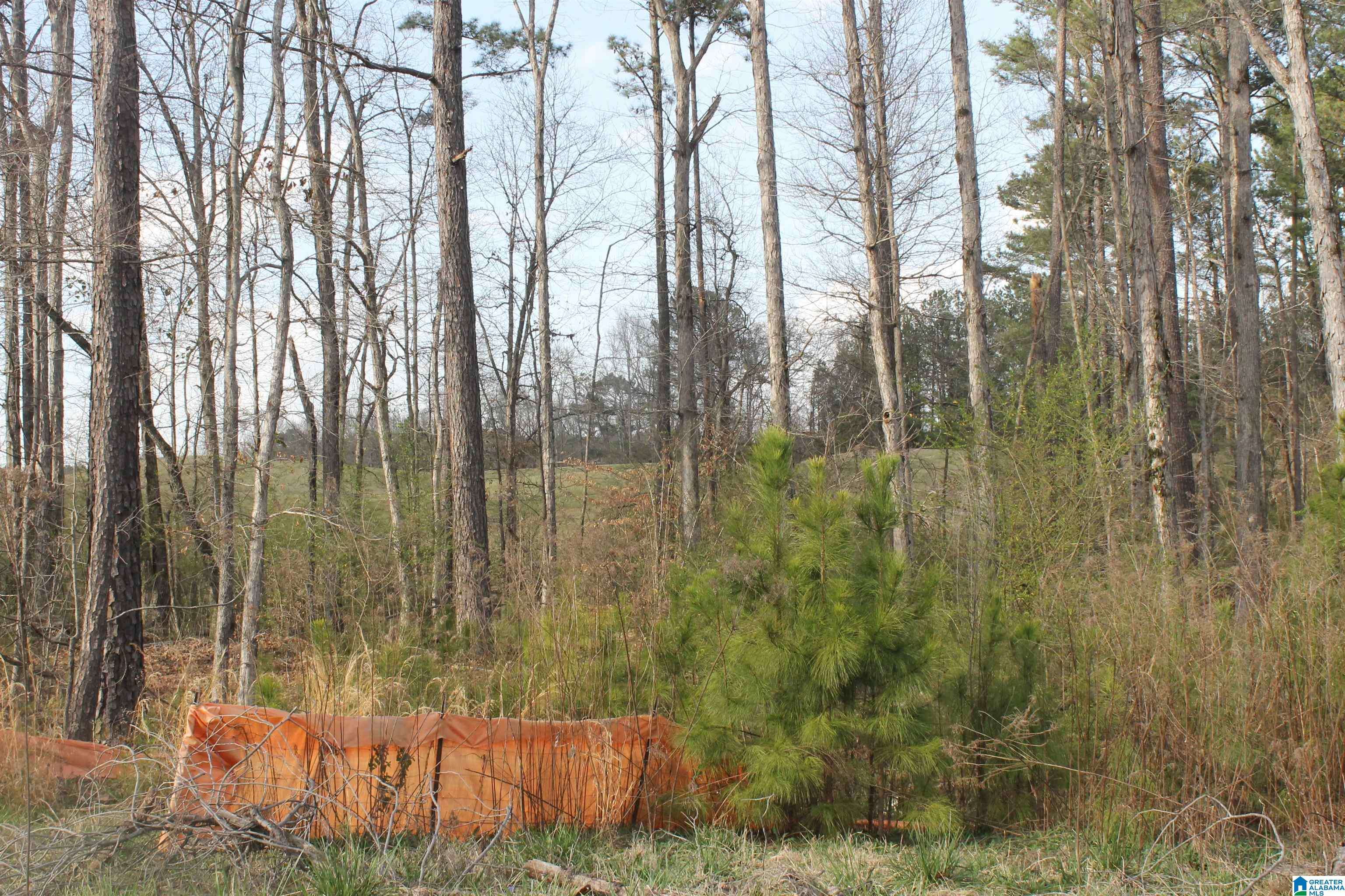 Hoover, AL 35226,1745 GLASSCOTT TRAIL #Lot 86