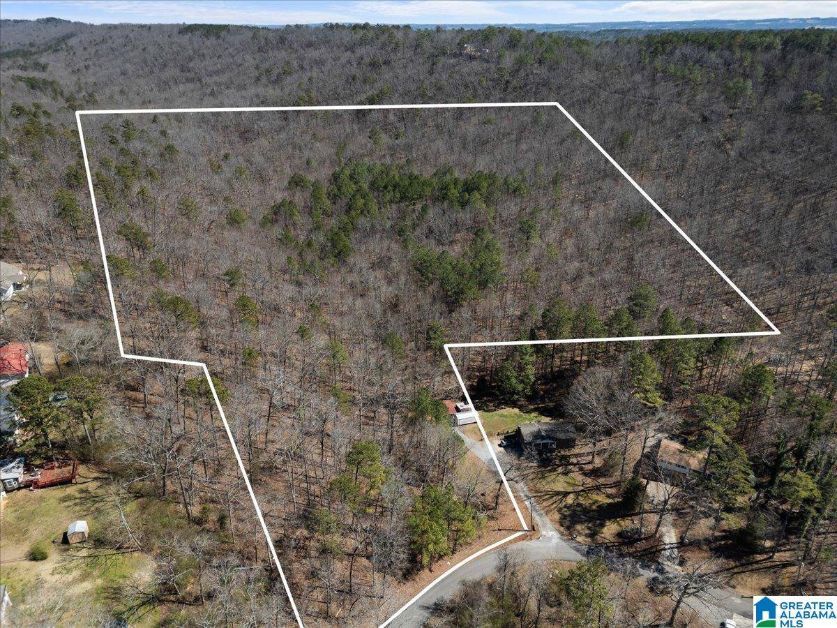 0 OAKRIDGE DRIVE #entire parcel, Oneonta, AL 35121