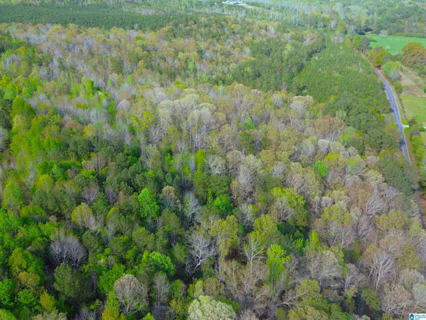 Piedmont, AL 36272,89 Acres COUNTY ROAD 8 #0