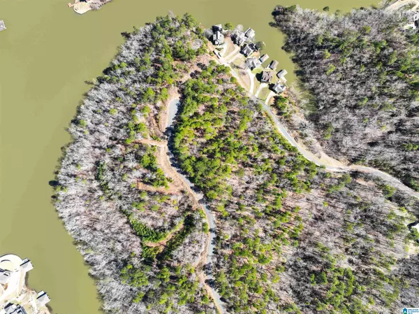 Rockford, AL 35136,0 PRESERVE CIRCLE #Lot 7