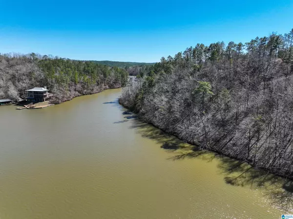 Rockford, AL 35136,0 PRESERVE CIRCLE #Lot 8