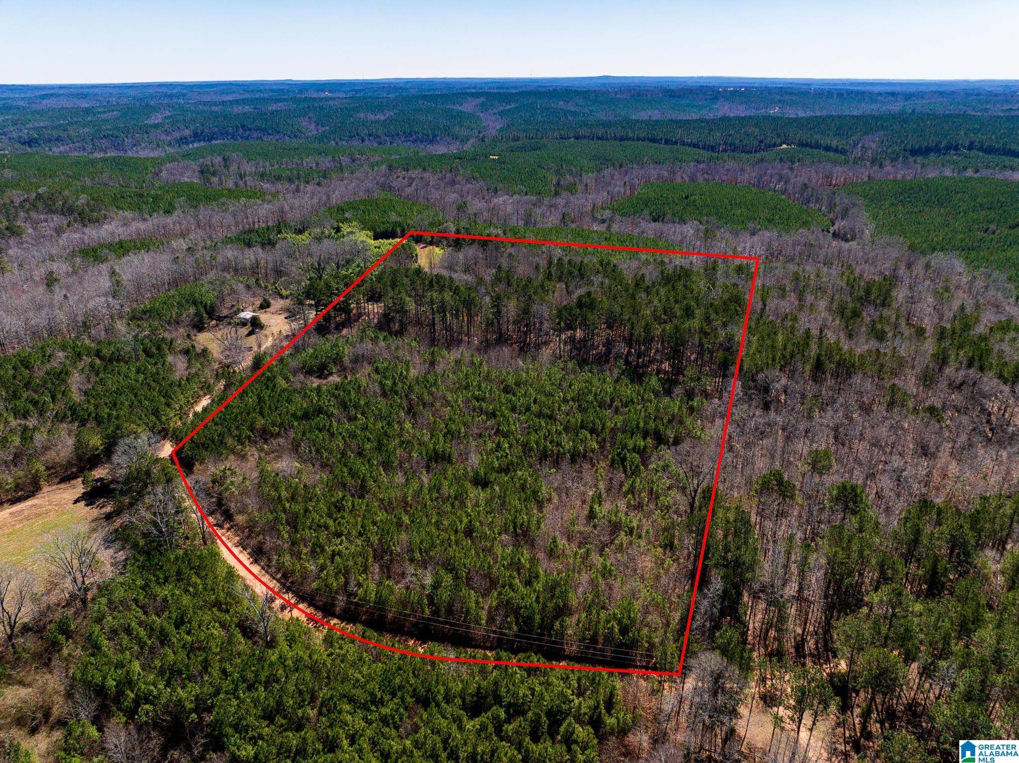0 COUNTY ROAD 788 #0, Clanton, AL 35046
