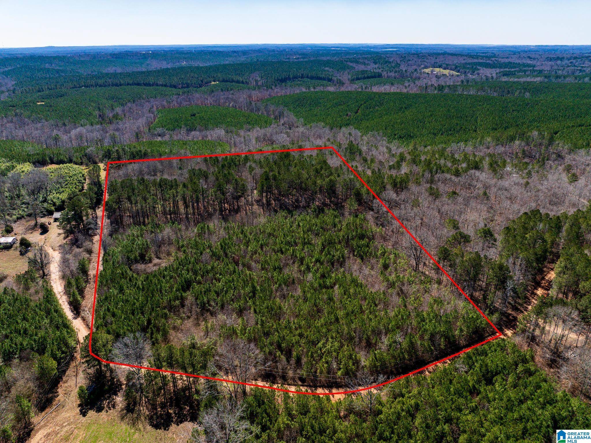 Clanton, AL 35046,0 COUNTY ROAD 788 #0