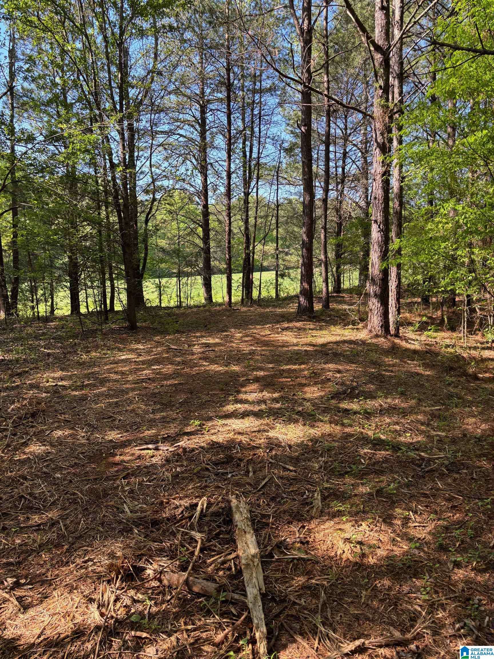 Munford, AL 36268,1401 COBB ROAD #7