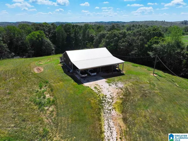 1690 MOUNT MORIAH ROAD, Delta, AL 36258