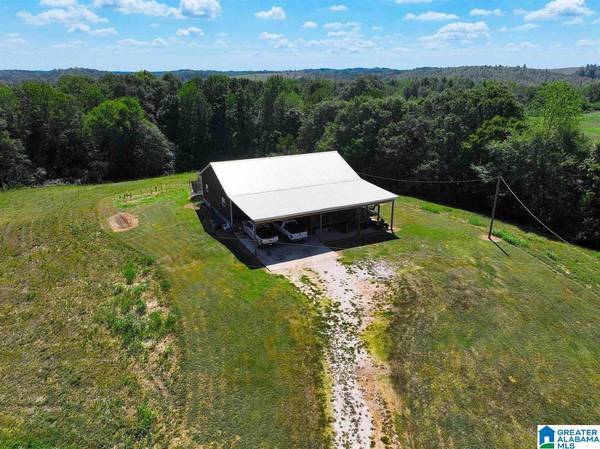 1690 MOUNT MORIAH ROAD, Delta, AL 36258