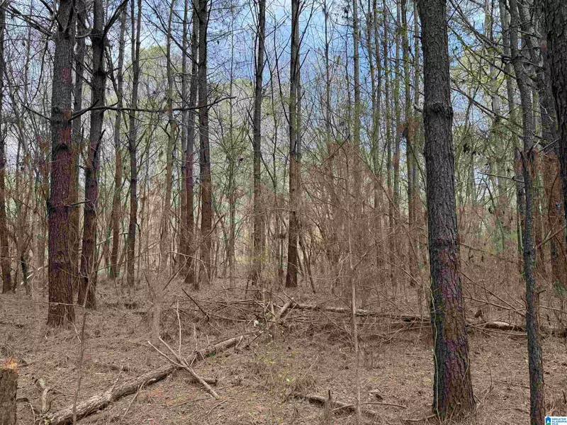 0 WALLACE STREET #1, Sylacauga, AL 35150