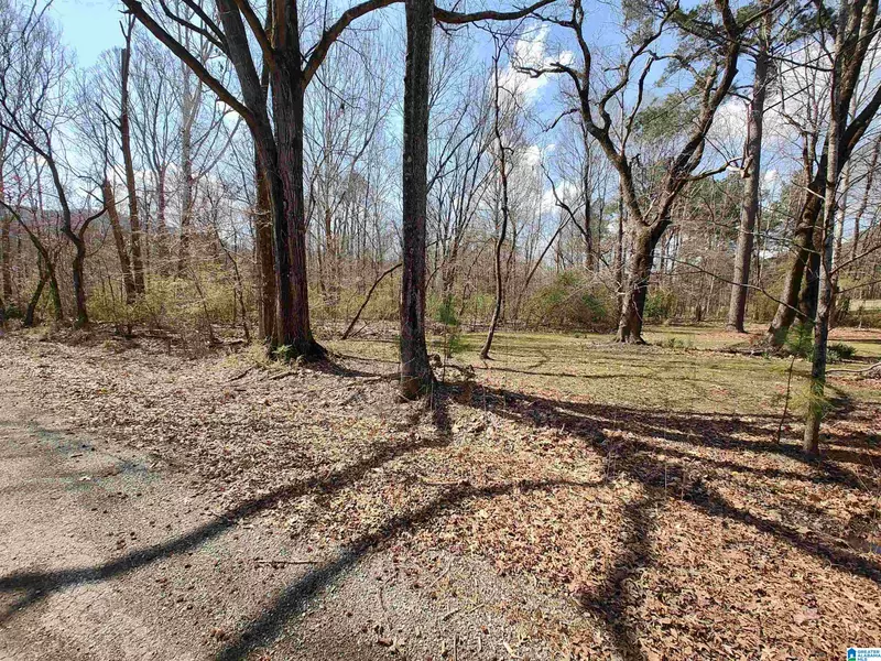 0 MEADOW CIRCLE #0, Sylacauga, AL 35150