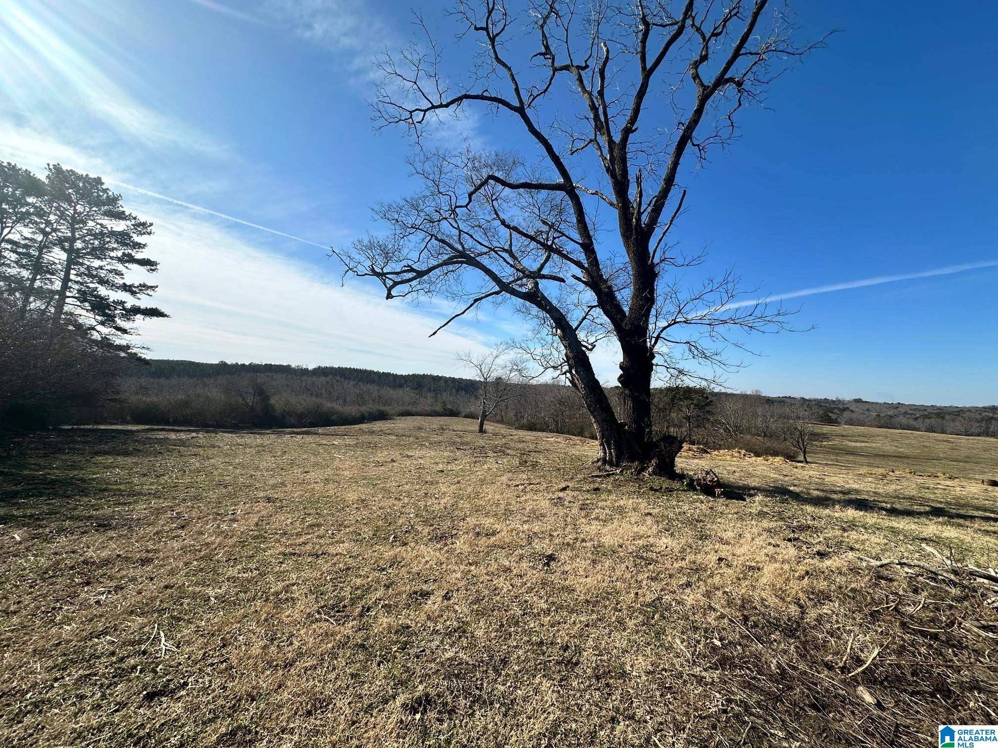 Logan, AL 35098,0 COUNTY ROAD 4000 #0
