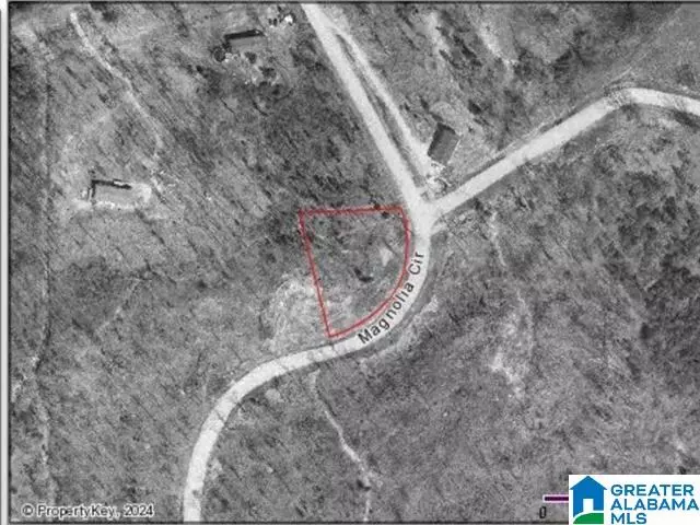 0 SHAINA LANE #3, Cropwell, AL 35054