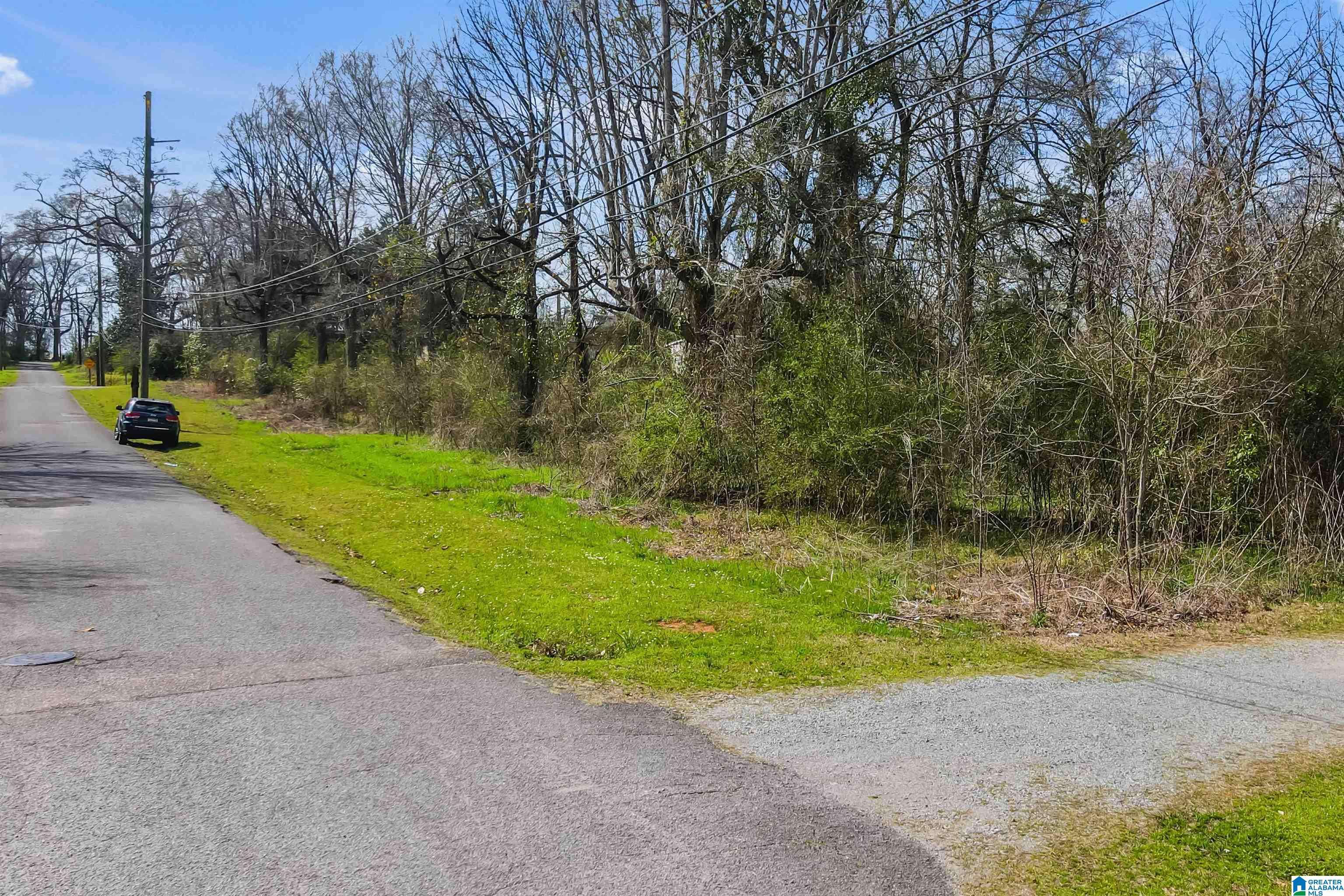 Montevallo, AL 35115,227 COMMERCE STREET #28
