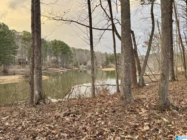 Pinson, AL 35126,6142 LAKESIDE DRIVE #17 & 18