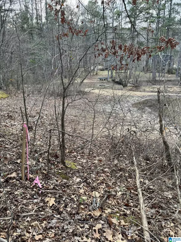 Pinson, AL 35126,6142 LAKESIDE DRIVE #17 & 18