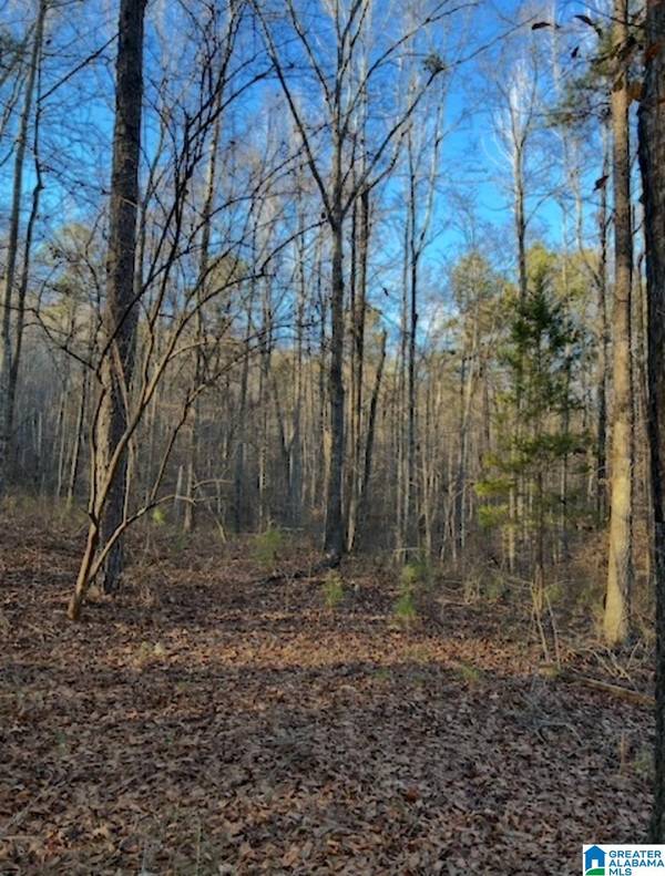 0 MOORE ROAD #0, Odenville, AL 35120