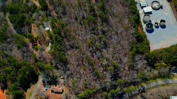 Chelsea, AL 35043,130 MOUNTAIN CREST ROAD