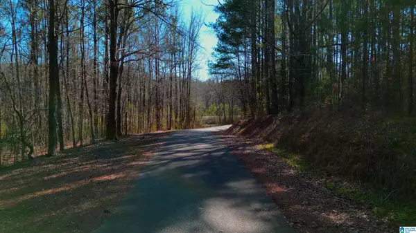 130 MOUNTAIN CREST ROAD, Chelsea, AL 35043