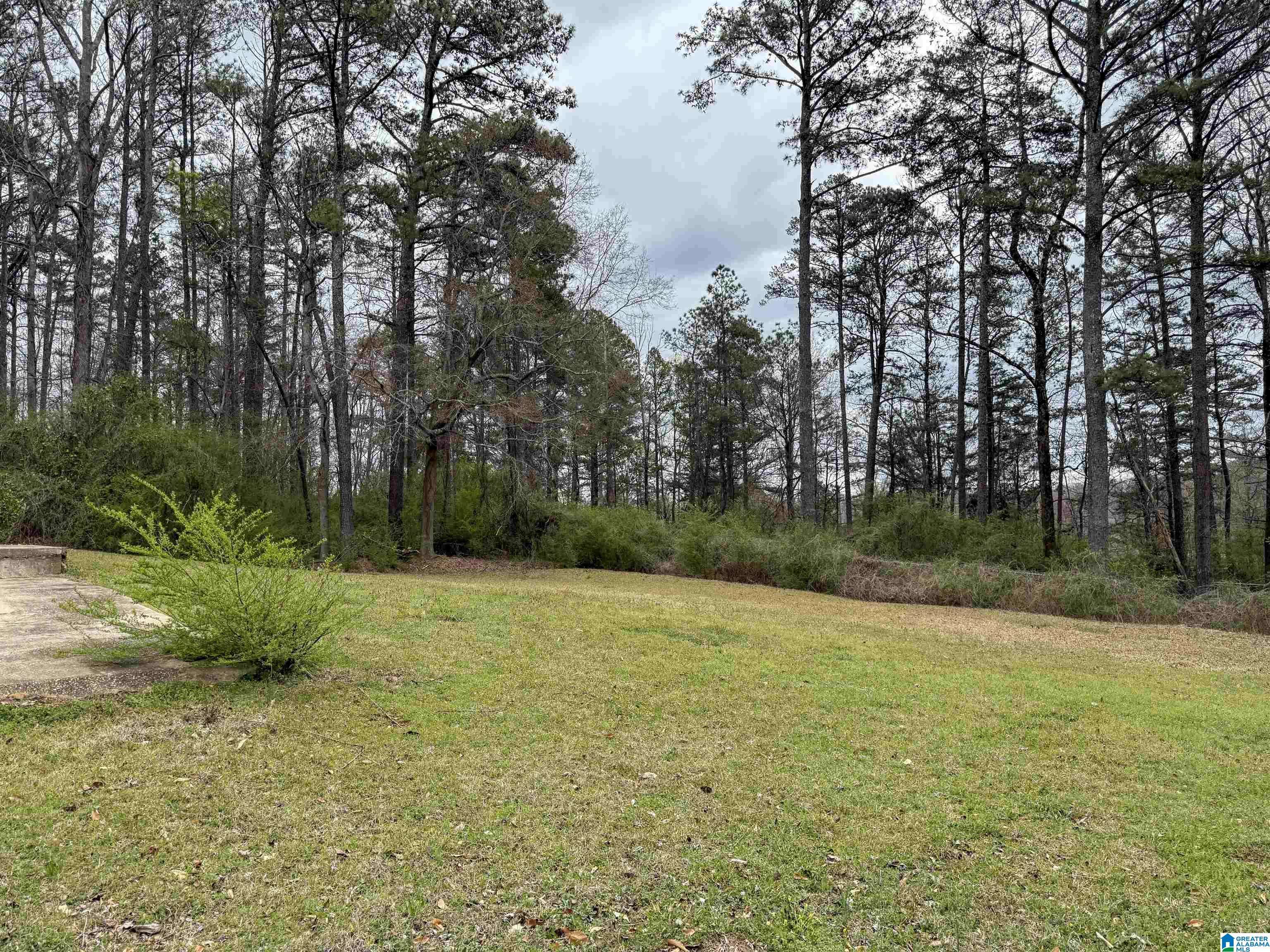 210 WILDWOOD DRIVE #210, Trussville, AL 35173