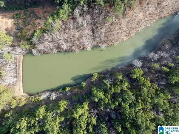 Eldridge, AL 35549,15201 COUNTY ROAD 63 N #none