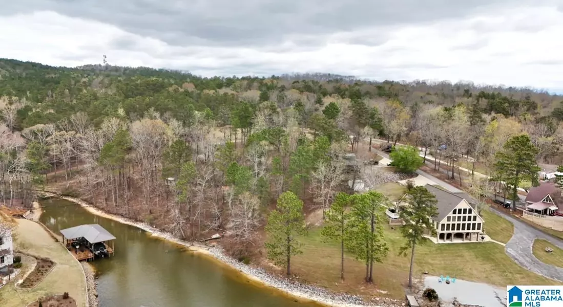 0 FRANKIES ROAD #0, Vincent, AL 35178
