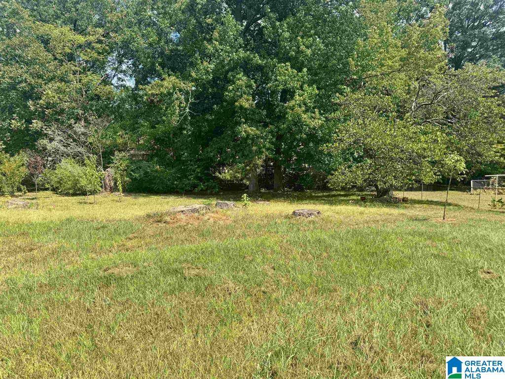 1031 MOUNT OLIVE AVENUE #17-18, Gardendale, AL 35071