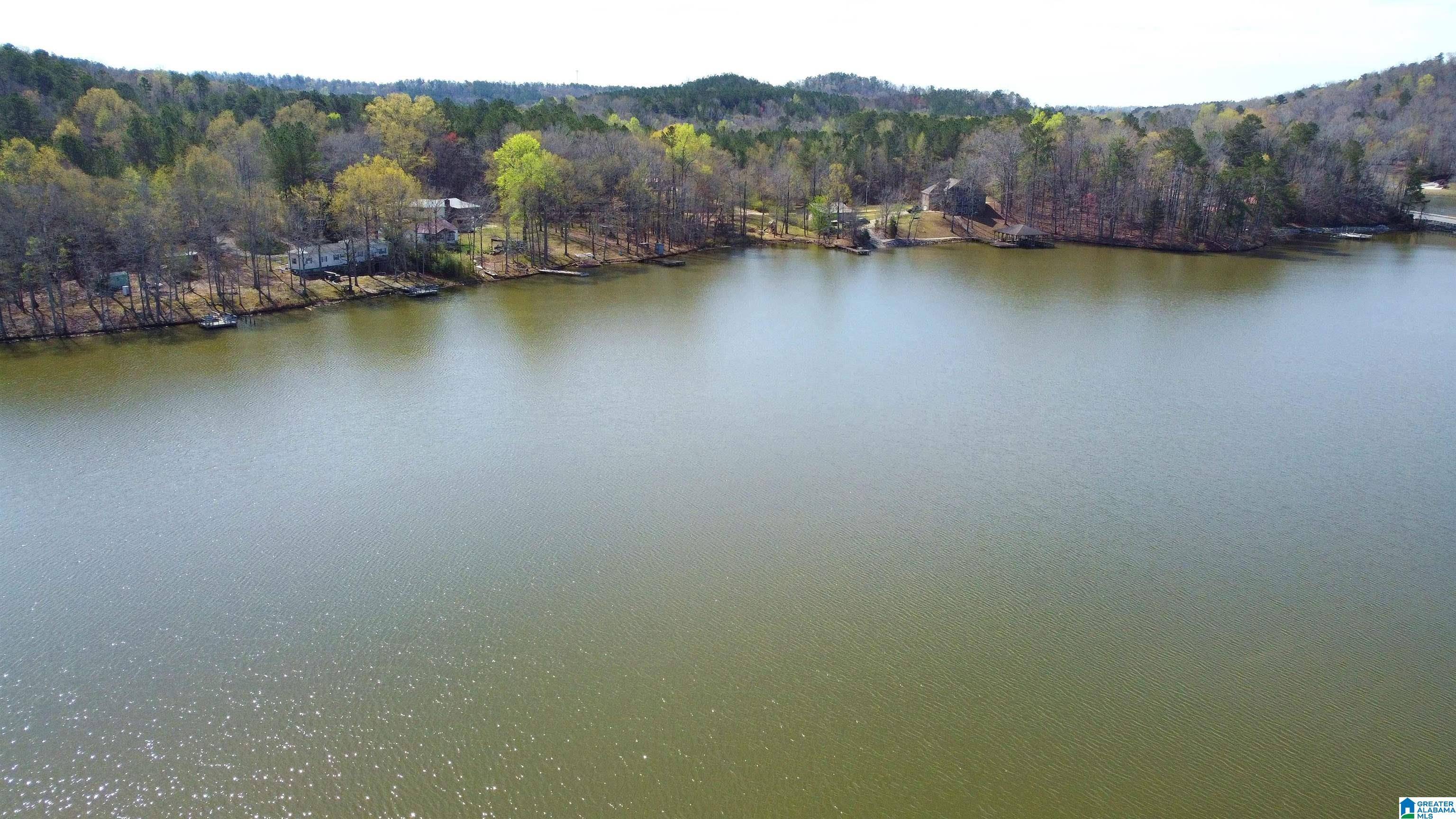 Ohatchee, AL 36271,516 CURTIS AVENUE #1