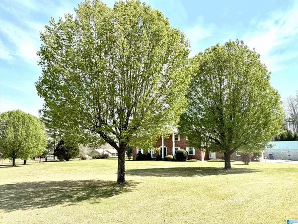 Jacksonville, AL 36265,20 MOUNTAIN DRIVE