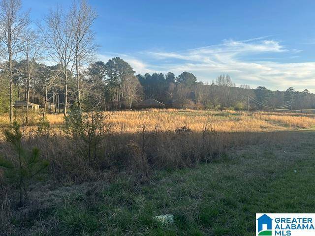 Mount Olive, AL 35117,1845 BROOKSIDE ROAD #0