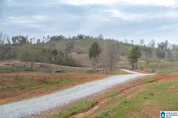 Vincent, AL 35178,4947 HIGHWAY 231 #2