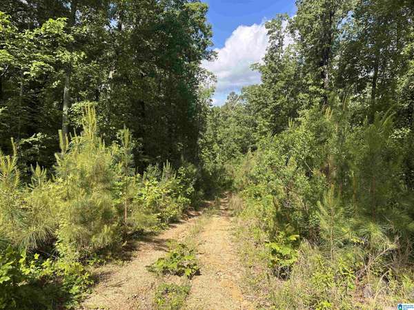 55741 HIGHWAY 25 #0, Leeds, AL 35094
