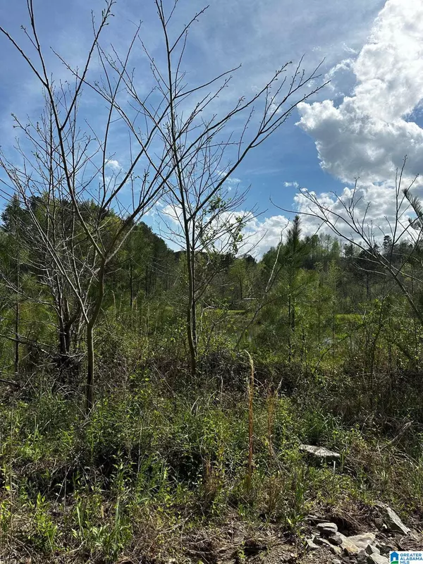 Dora, AL 35062,2730 GLOVERS BEND ROAD #1