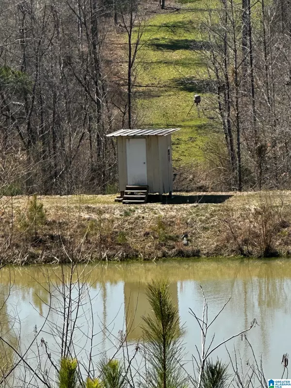 Dora, AL 35062,3216 GLOVERS BEND ROAD #1