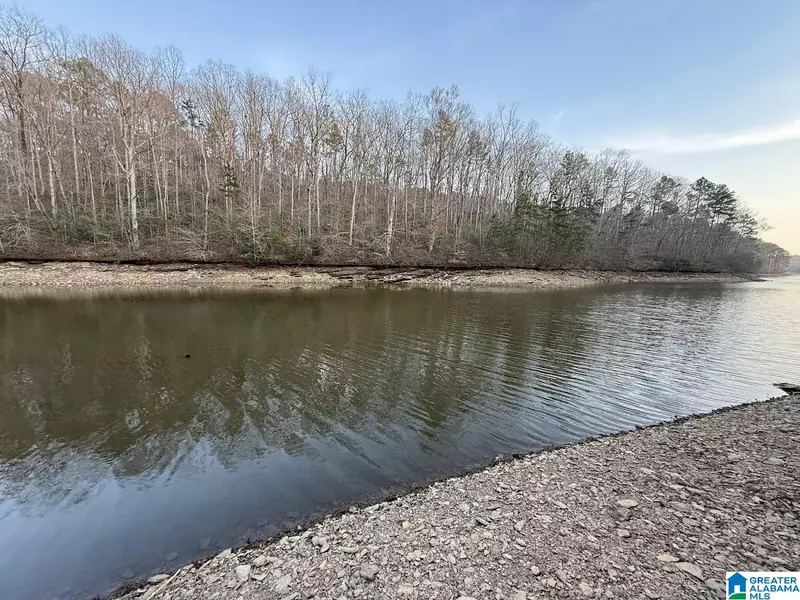 0 LUTHER DRIVE #10, Wedowee, AL 36278