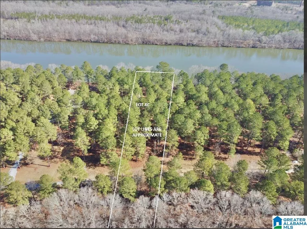 Vincent, AL 35178,635 LIBERTY SHORES BOULEVARD #Lot #8C