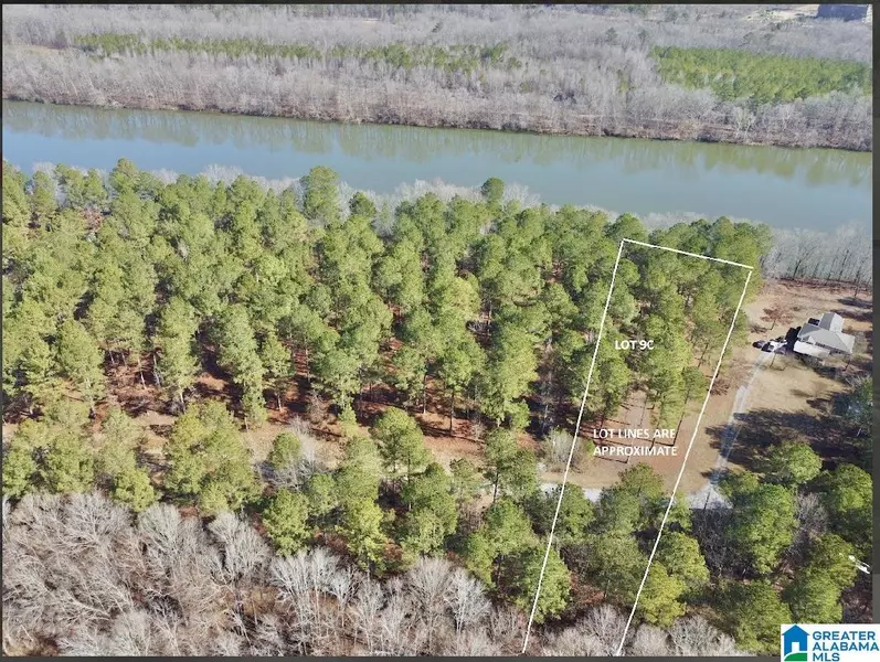 650 & 651 LIBERTY SHORES BOULEVARD #Lot #9C, Vincent, AL 35178