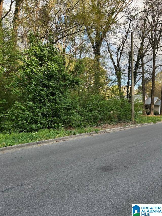 Oxford, AL 36203,0 DRUMMOND AVENUE #Lot 1