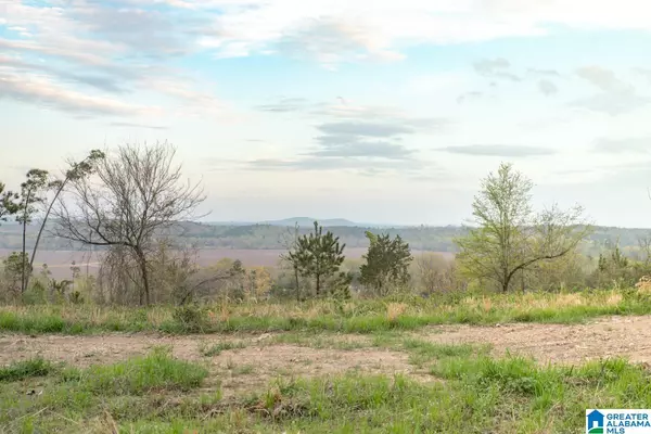 Vincent, AL 35178,4947 HIGHWAY 231 #3