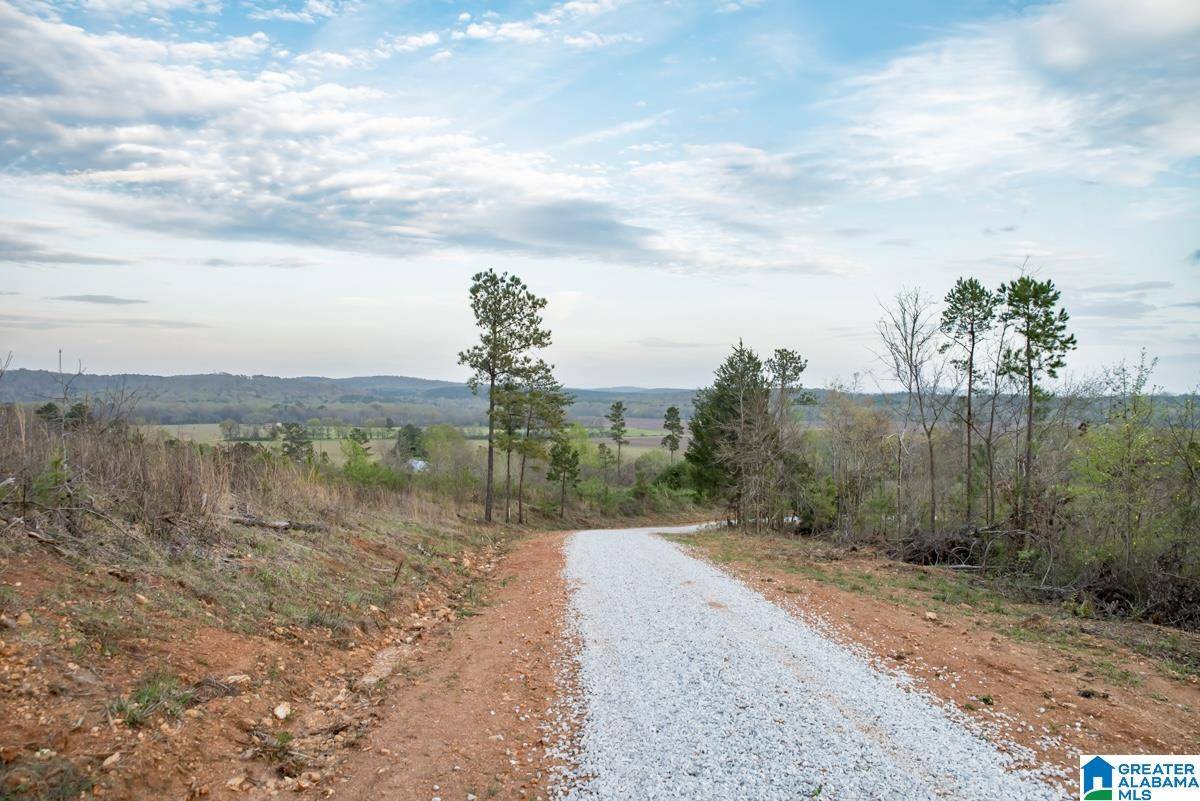 Vincent, AL 35178,4947 HIGHWAY 231 #3