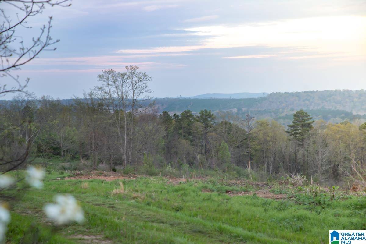 Vincent, AL 35178,4947 HIGHWAY 231 #5