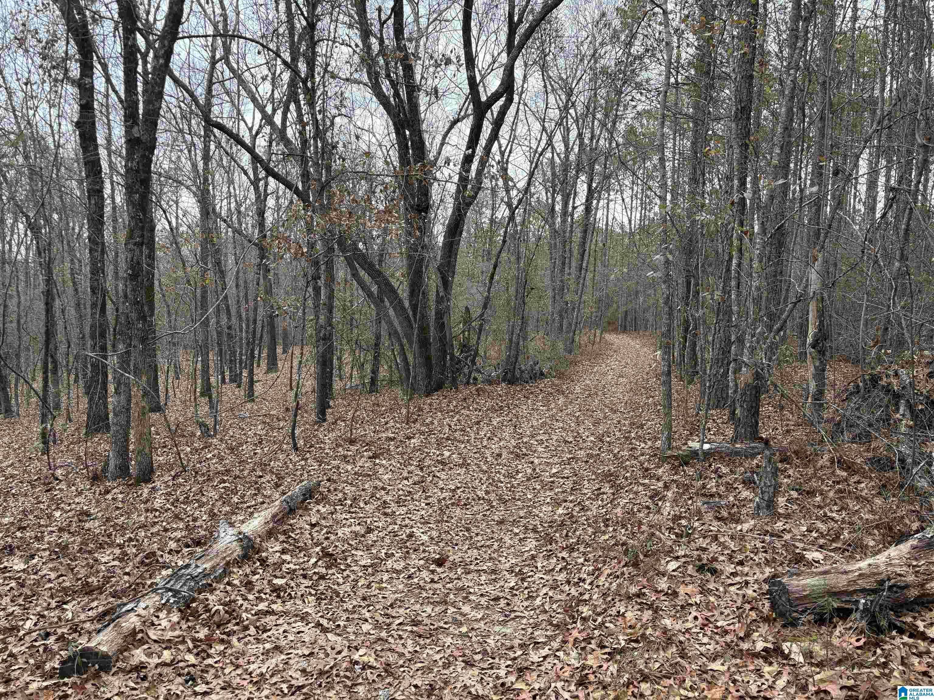 Verbena, AL 36091,334 COUNTY ROAD 443