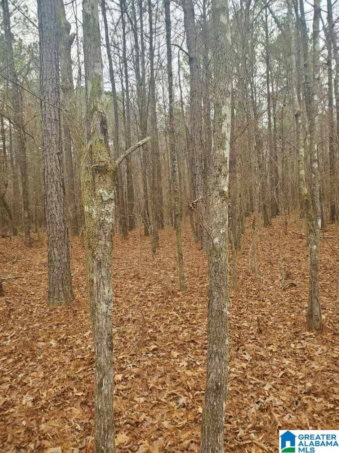 Ashville, AL 35953,0 PEACEFUL VALLEY ROAD #0