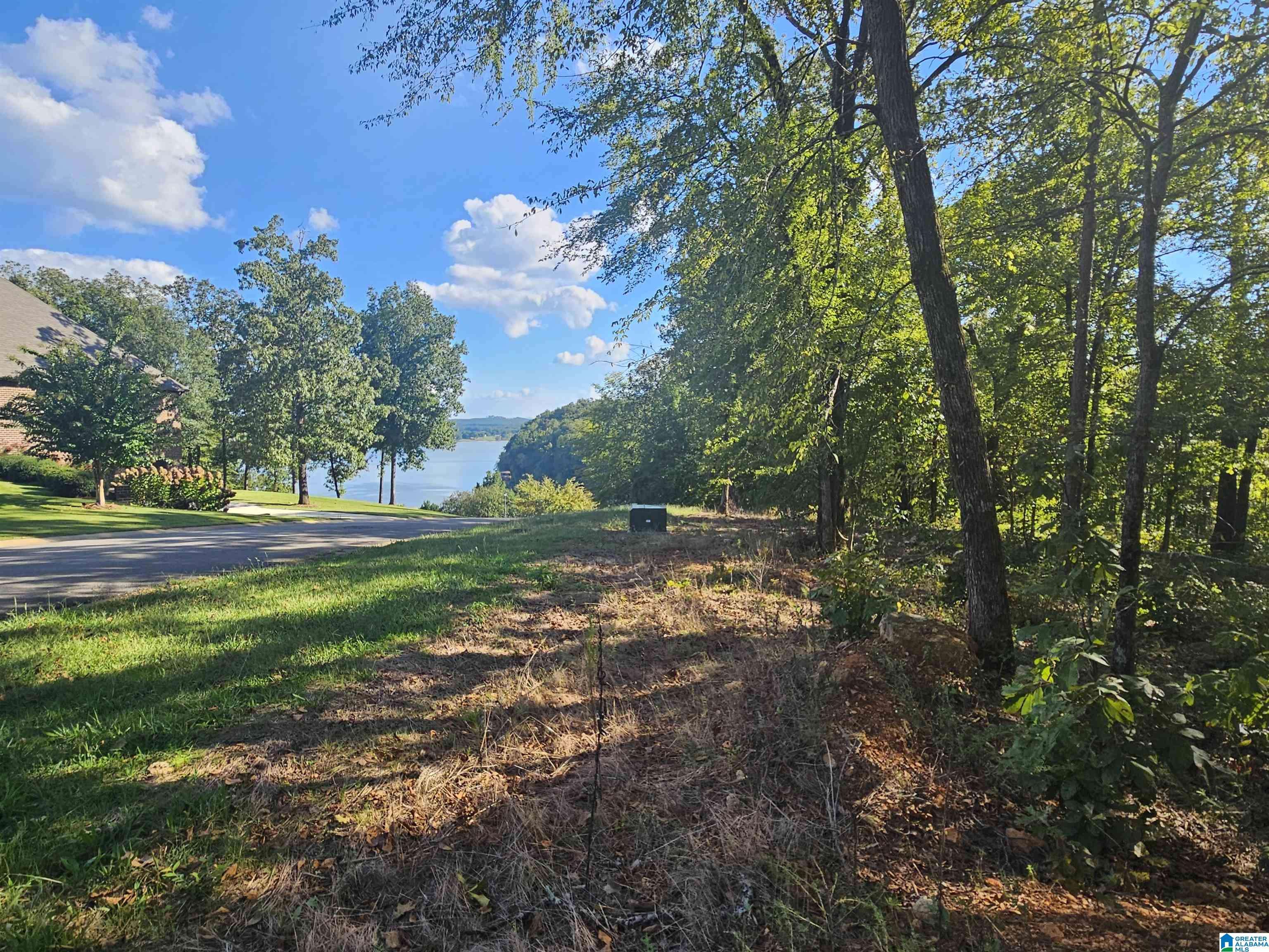 187 WILLOW LOOP CIRCLE #187, Lincoln, AL 35096