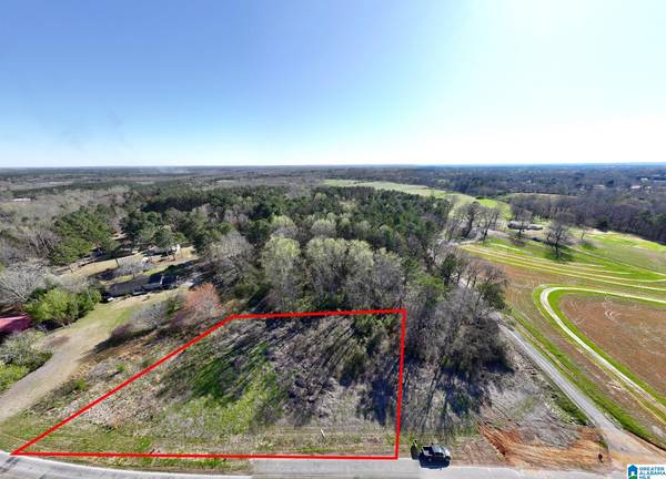 0 LAMON CHAPEL ROAD #1/3, Jasper, AL 35503