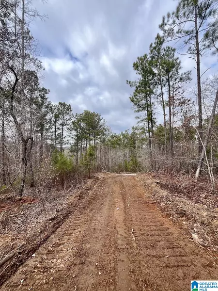 0 COUNTY ROAD 33 #1, Wedowee, AL 36278