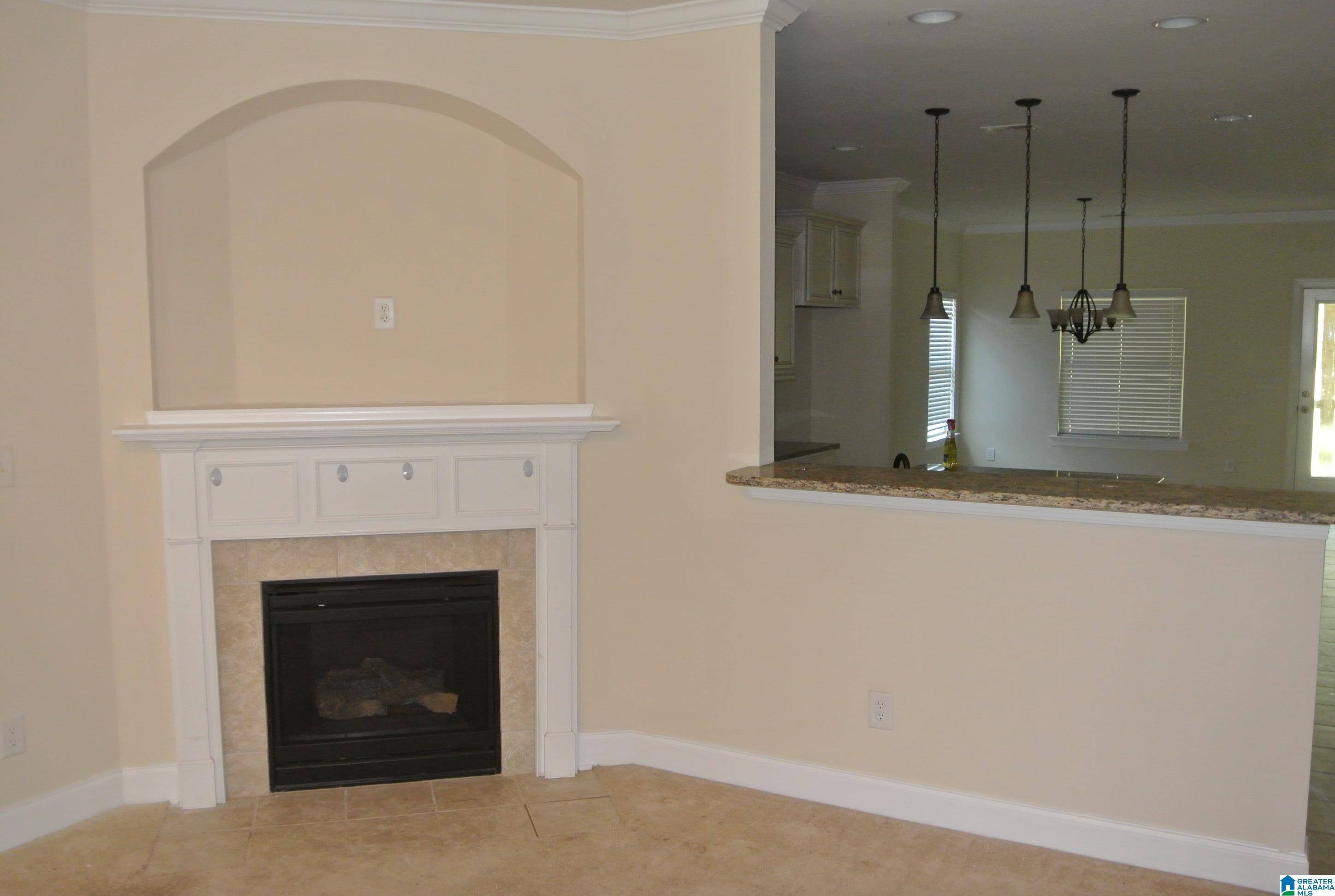 Springville, AL 35146,539 BLACKBERRY GLENN