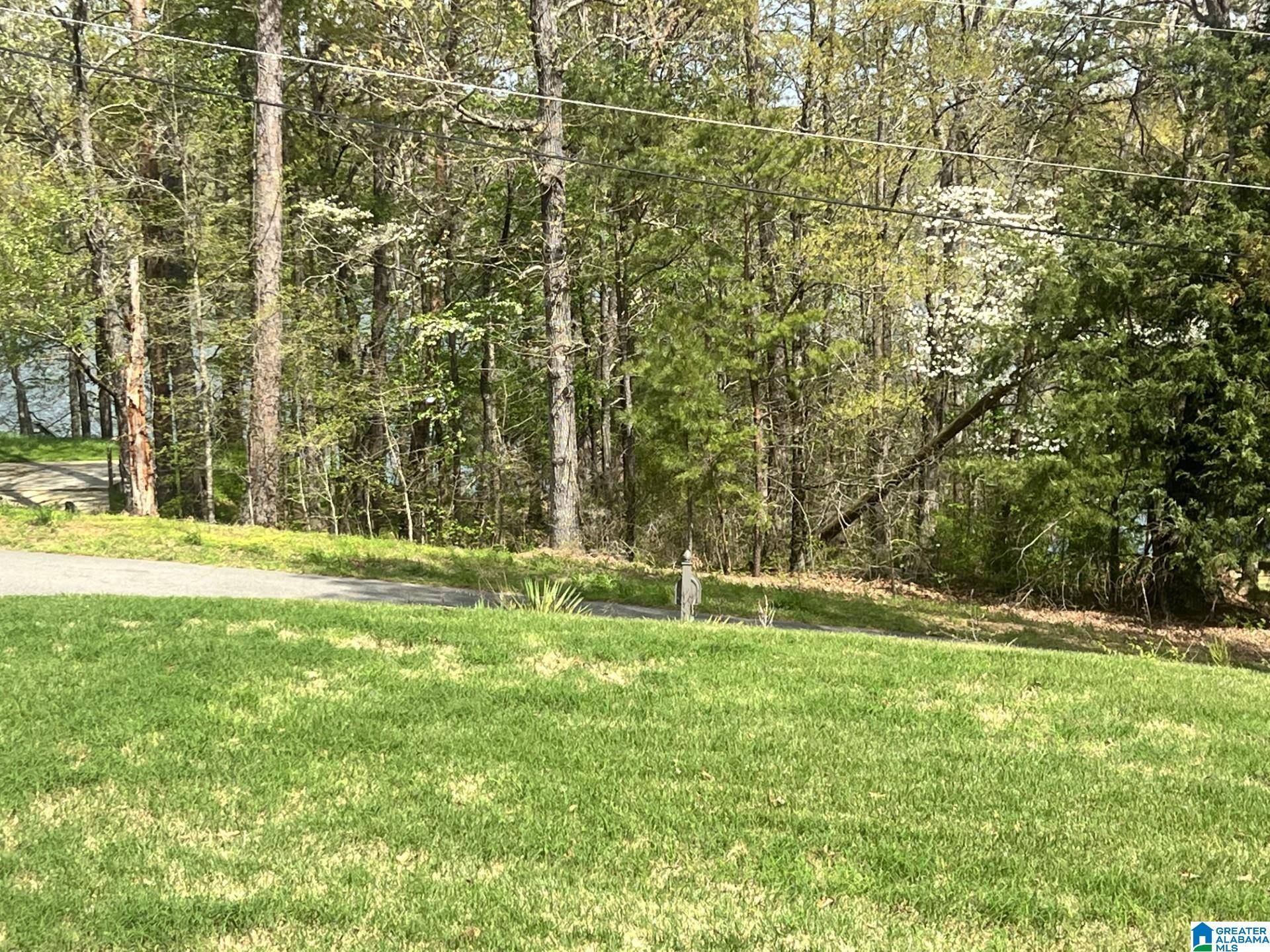Lake View, AL 35111,20867 SHARON DRIVE