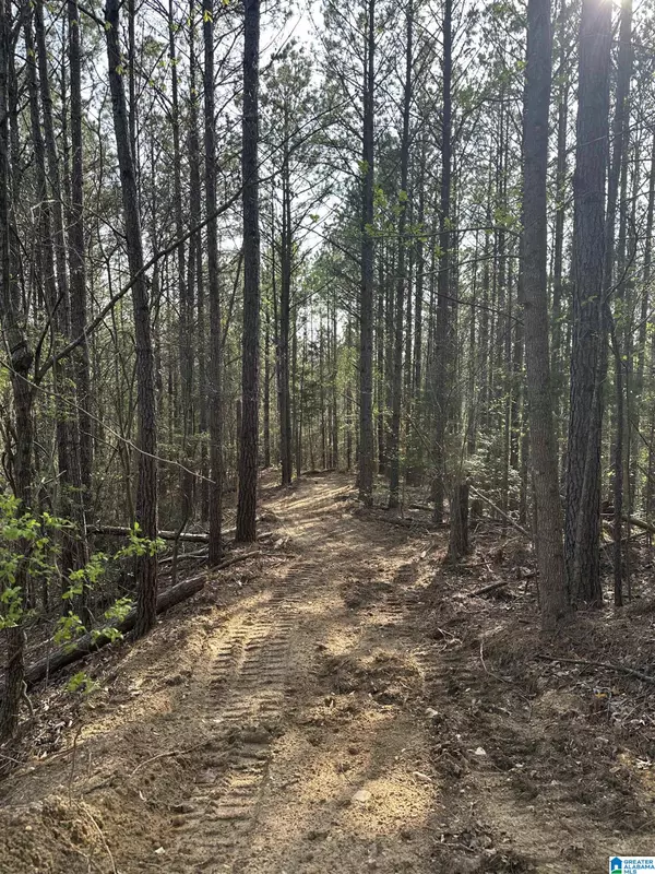 Tuscaloosa, AL 35555,0 PLEASANT RIDGE CIRCLE #1