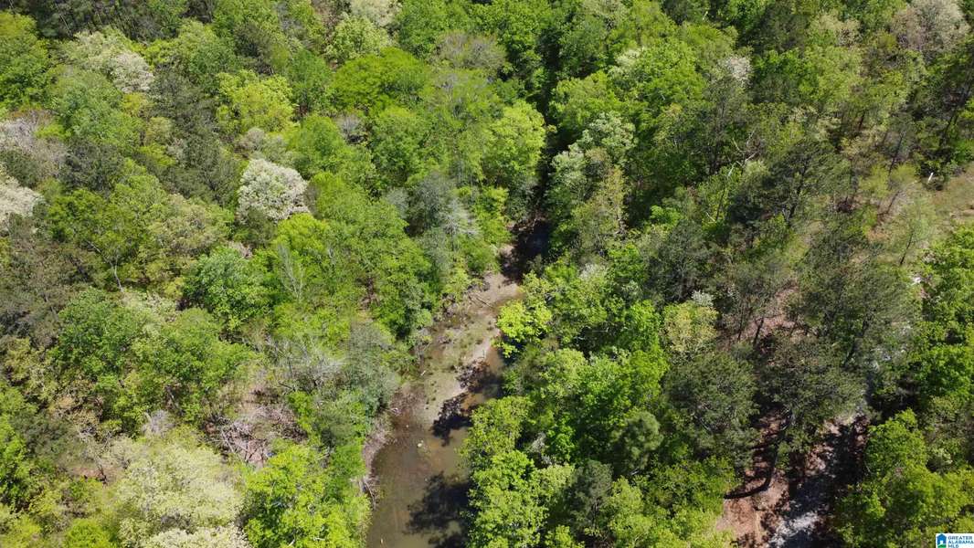 LAKE GENEVA DRIVE #25, Wedowee, AL 36278